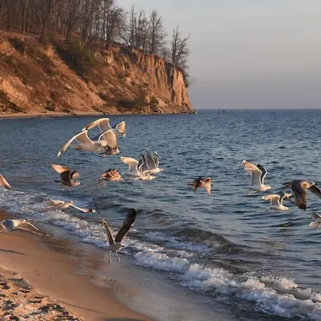 Rybacka W Orlowie / アパート グディニャ