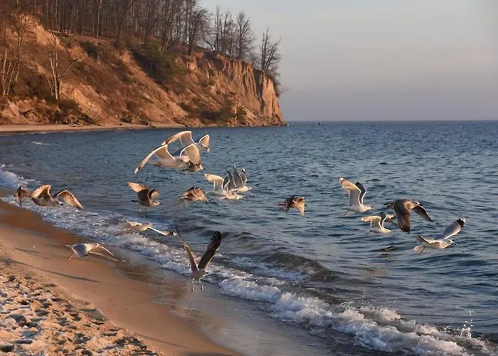 Rybacka W Orlowie / Apartamento Gdynia